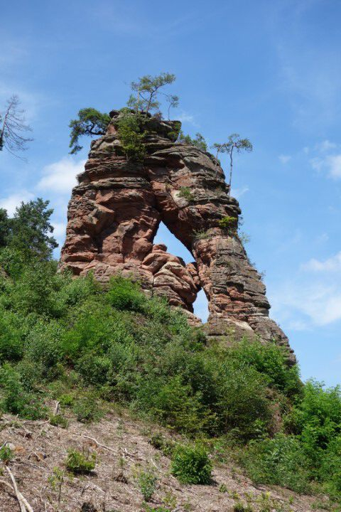 Schwalbenfelsen Dahn Klein copy