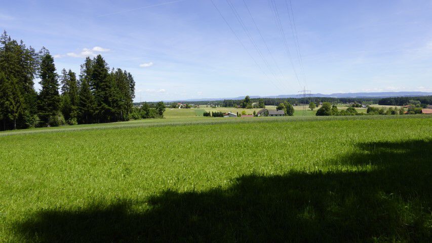 DSC5396 Klein