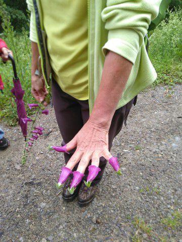 IMG 20200616 091707 Small