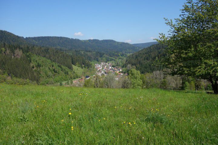 Adelsberg Klein