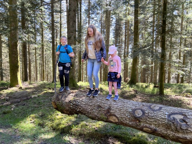 22 04 18 13 42 17 8515 Klein