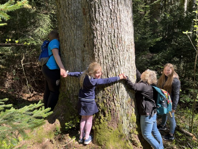 22 04 18 15 45 55 8561 Klein