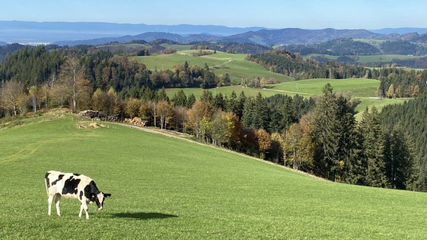 St Märgen Klein
