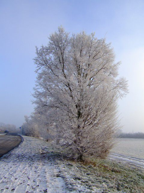 Winterstimmung Klein