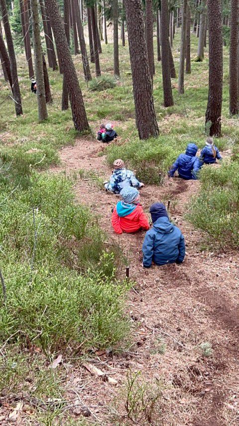 PHOTO 2025 03 30 16 29 27 Klein