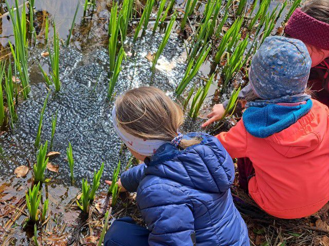 PHOTO 2025 03 30 16 30 31 Klein