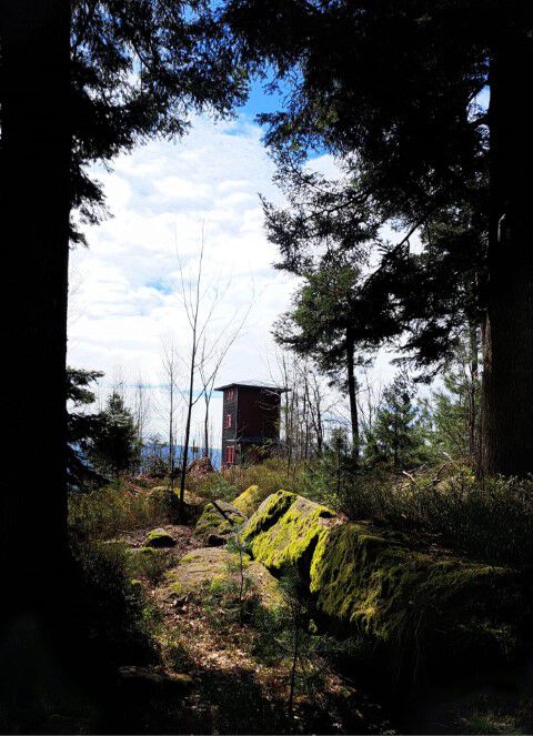 PHOTO 2025 03 30 16 30 32 Klein