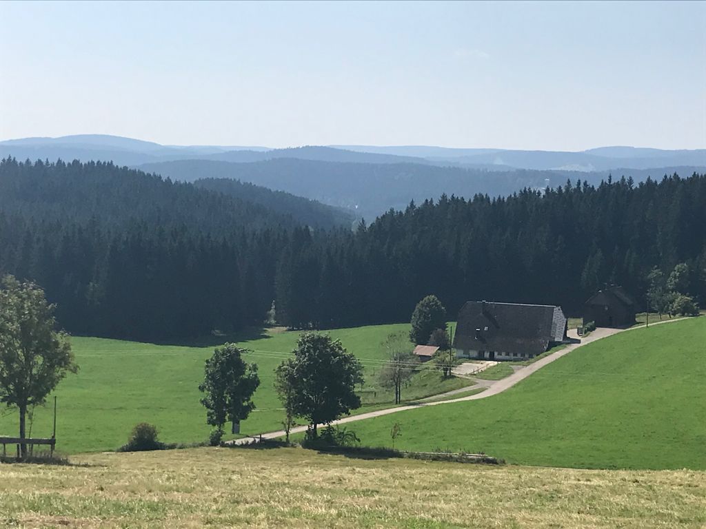 PHOTO 2021 08 15 18 21 03